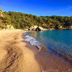 https://bungalow-cala-canyelles.topcostabravahotels.com